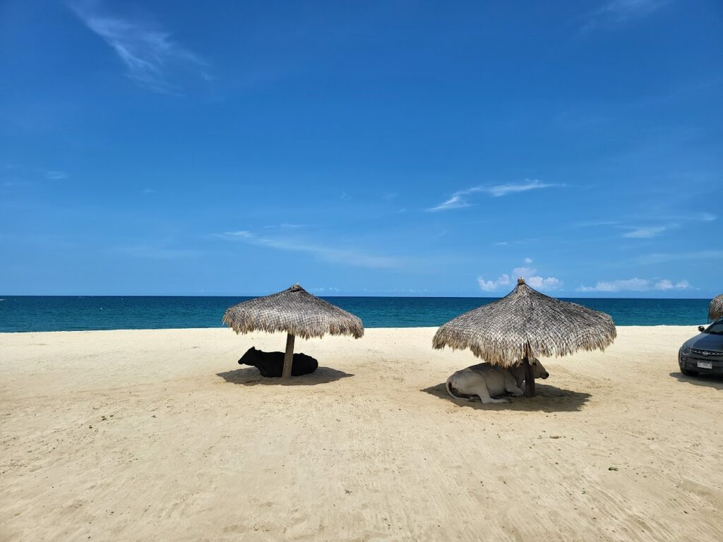 Casa Del Gallo Hermoso Beach Front